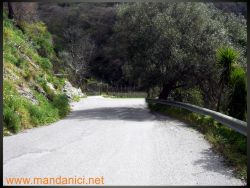 Ingrandimento immagine
