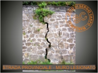 Le foto