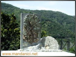 Ingrandimento immagine