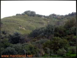 Ingrandimento immagine
