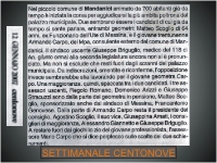 Ingrandimento articolo