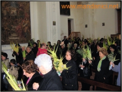 Ingrandimento immagine
