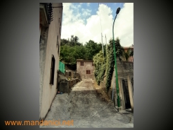 Ingrandimento immagine