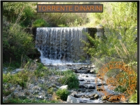 Ingrandimento immagine