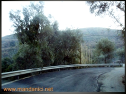 Ingrandimento immagine