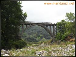 INgrandimento immagine