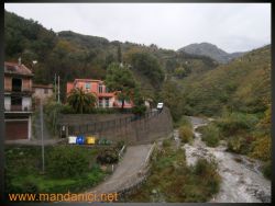 Le foto