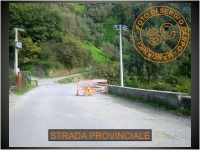 Ingrandimento immagine