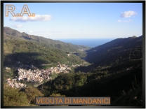 Ingrandimenti immagine